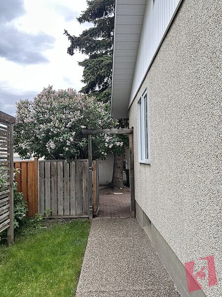 2 Bedroom Basement in a Bungalow for immediate rent photo 3