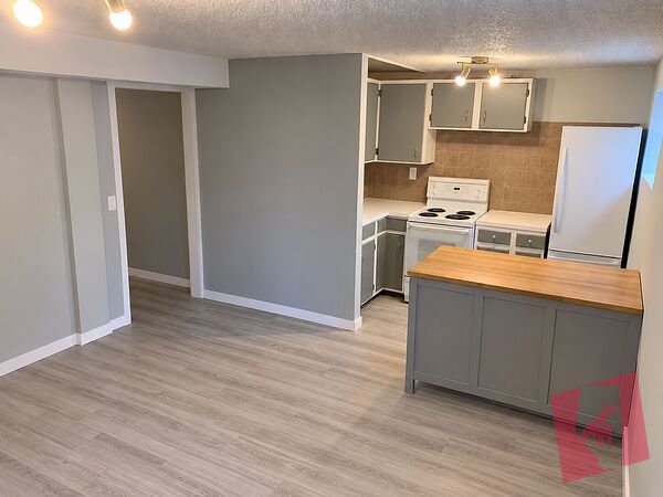 Cozy, Bright & Pet-Friendly – 1-Bedroom in Abbeydale