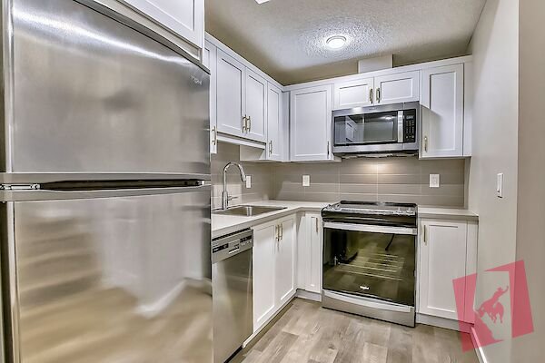 Amazing Basement Suite!!! photo 2