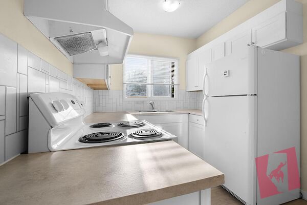 2Bdrm+Den with 1.5 Bath Four Plex Unit photo 3