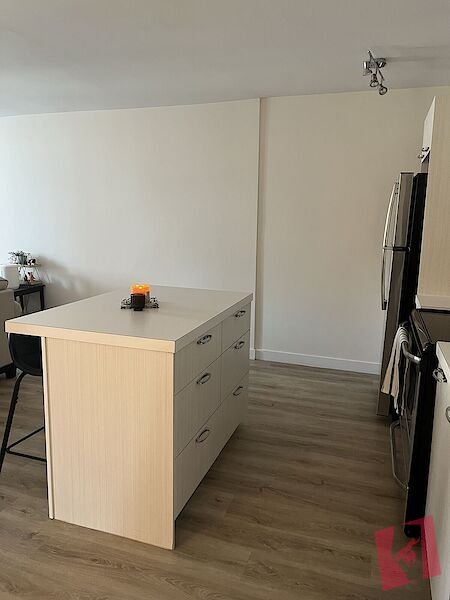 ALL UTILITIES FURNISHED 1 Bedroom Condo in the Heart of Downtown photo 2