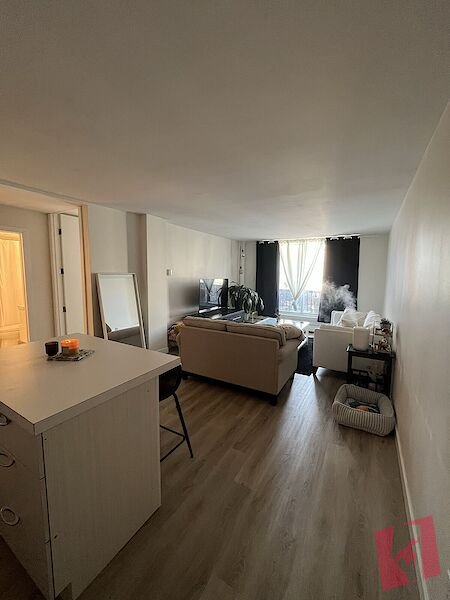 ALL UTILITIES FURNISHED 1 Bedroom Condo in the Heart of Downtown photo 3