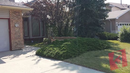 Lovely Two Story Single House with Walkout Basement in Edgemont photo 2