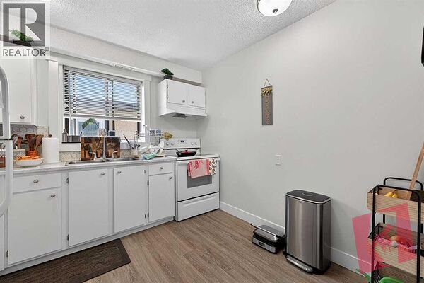 Bright Basement Apartment Inner City photo 2