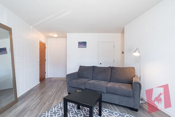 Large 1 bedroom in University Heights photo 3