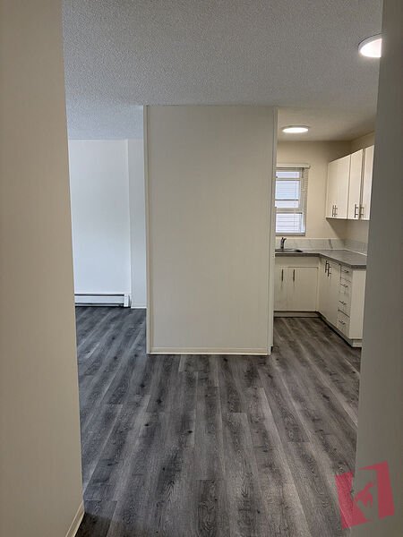 Charming Cliff Bungalow Condo | Bright 1 Bed + 1 Bath in Prime Inner-City Location! photo 2
