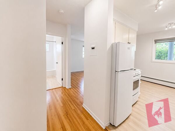 BRIGHT Updated Studio Apartment in Beautiful Mission Area! photo 3