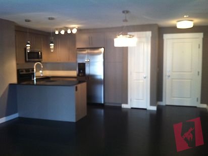 51 Oak - Truman Condo - Mahogany TWO PARKING STALLS photo 2