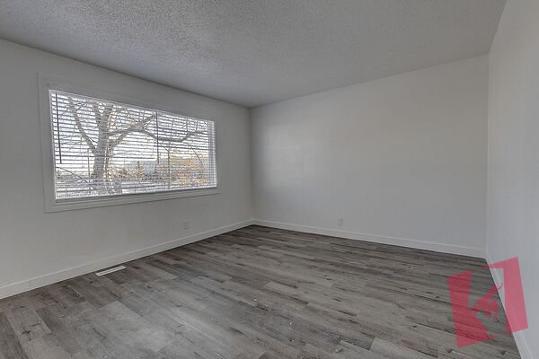 Cozy 3 Bedroom + Den photo 2