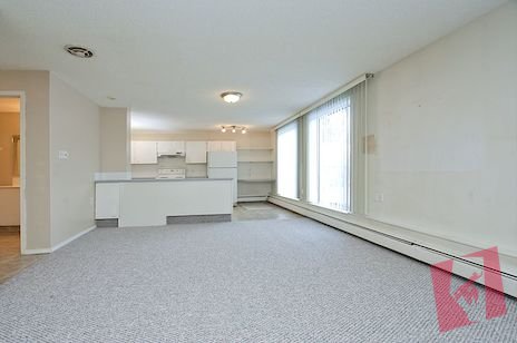 PARKDALE PLACE - Large 1 Bedroom photo 3