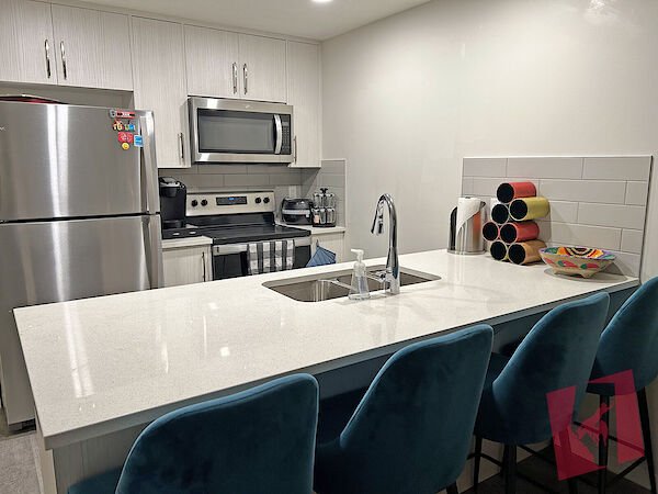 Fully Furnished Contemporary Condo photo 2