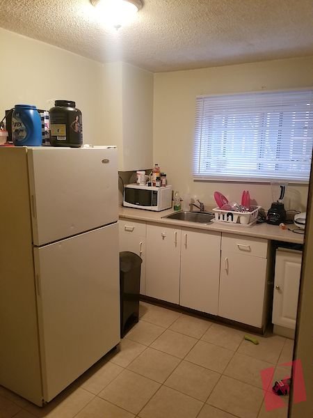 Albert Park. One bedroom Basement Suite, 1020, utilities included. Single only