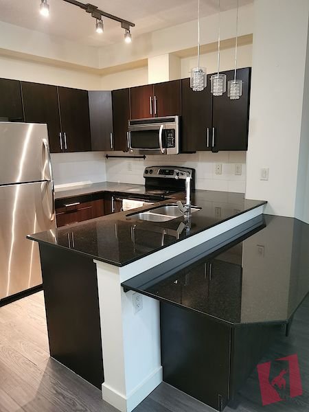 One Bedroom Condo Near Downtown photo 3