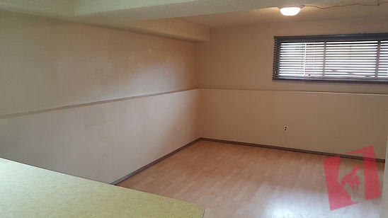 Fonda Bachelor Basement Suite, 1000.00, utilities included. photo 3