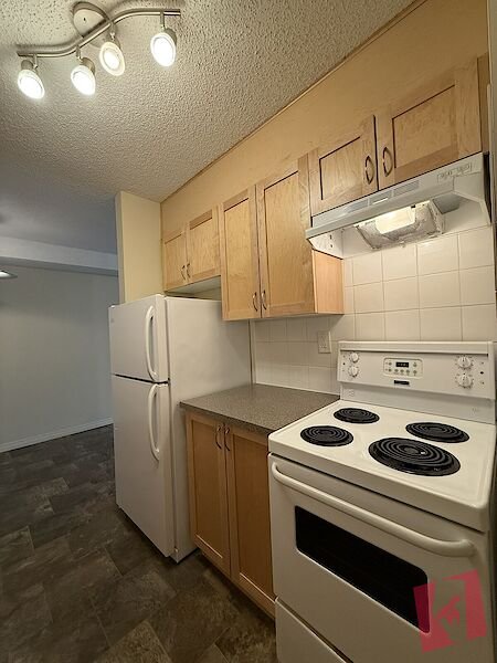 Updated 1 BEDROOM Lower Level Suite in Crescent Heights AVAILABLE NOW!