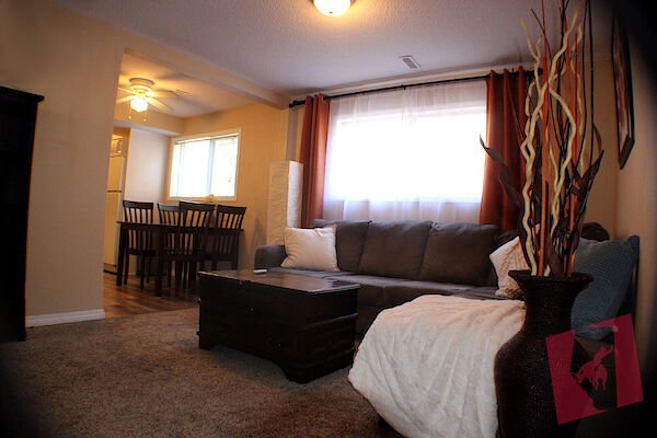 Sunny 2-Bedroom Suite “Walkout-ish” + Bathroom Reno - Furnished - 55"TV photo 3