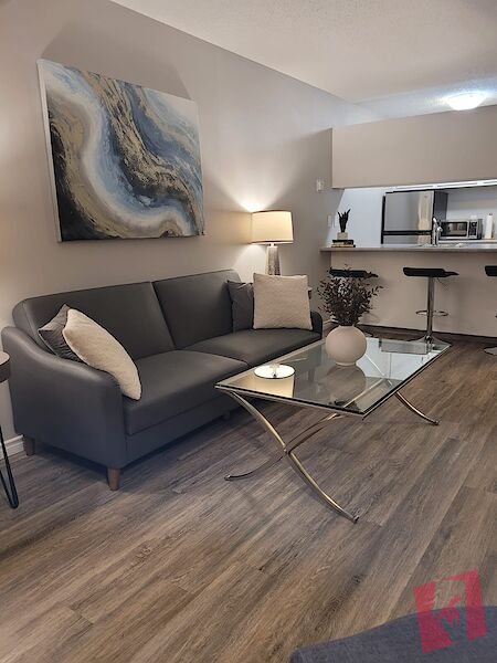 MODERN furnished condo - VICTORIA PARK