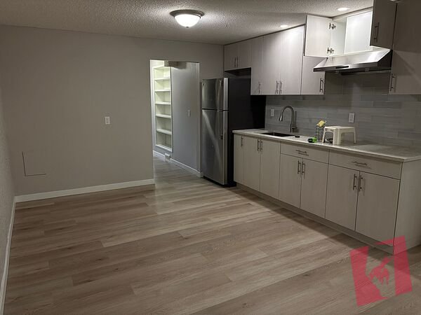 Updated Basement photo 3