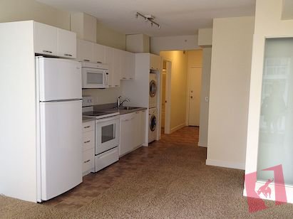 2 BR - University City Condo photo 2