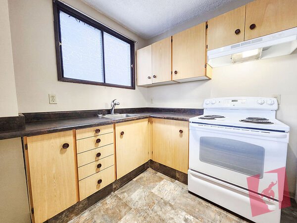 423 3 Avenue N.E. photo 3