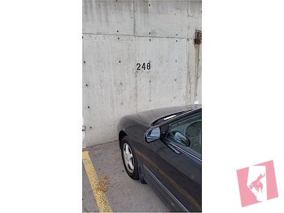2-Bedroom Apartment for rent in Dalhousie| Walk To C-train | U of C Nearby photo 2
