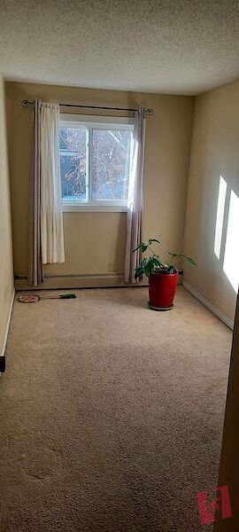Sunny Top Floor Apartment in Bridgeland photo 3
