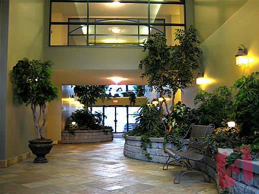 Luxury Erlton Condo - Next Door to MNP Centre