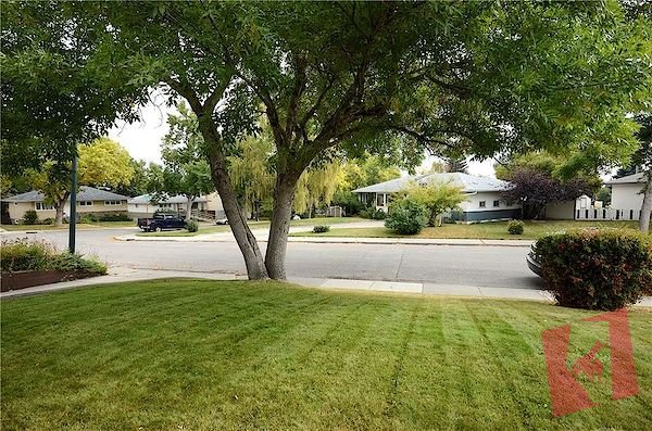 Well Maintained Home in Thorncliffe photo 3