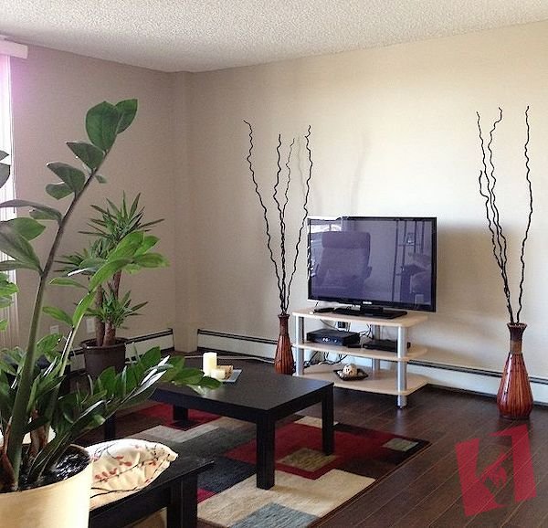 Renovated 1 bedroom in NW with heat and water included photo 2