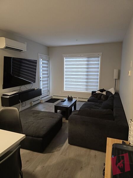 Brand New 1 year old apartment in a brand new community photo 3