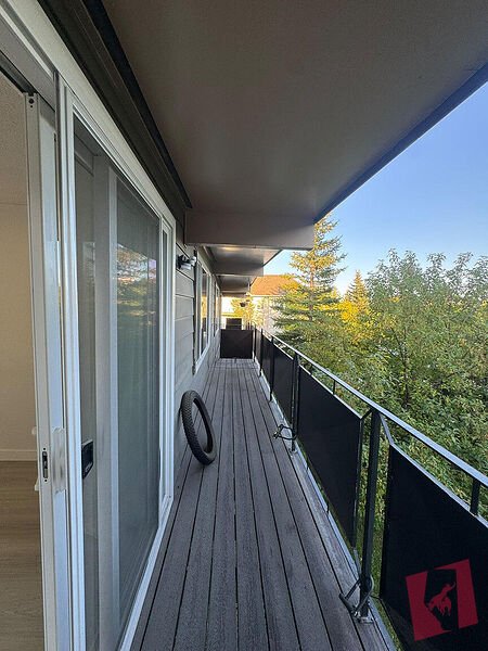 Your Next Home Awaits | 2 Bed • 1 Bath | $1,700 photo 2