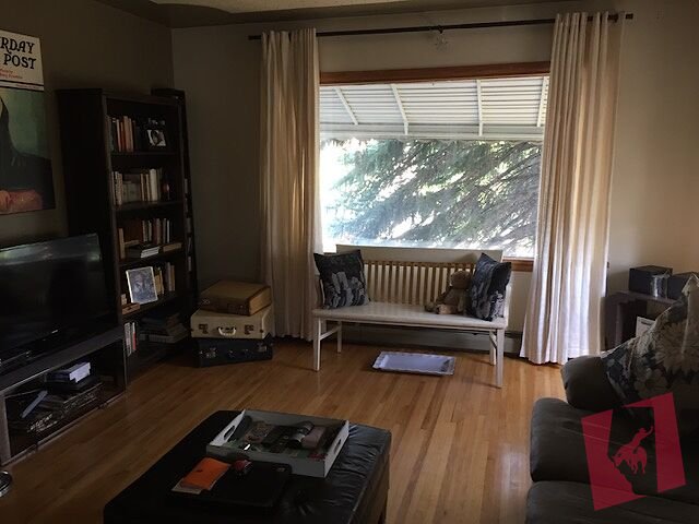 Parkdale 1 bedroom apartment photo 2