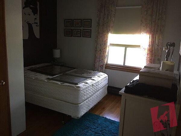 Parkdale 1 bedroom apartment photo 3
