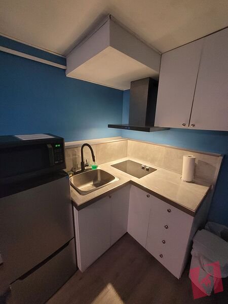 Studio basement suite photo 2