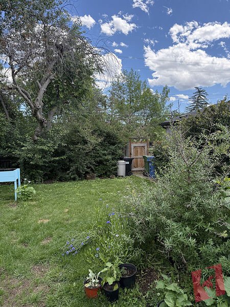 Renovated 3-Bedroom Bungalow in Kingsland | Finished Basement | Pet Friendly photo 3