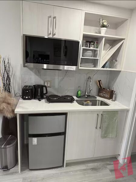 Fully Furnished Cozy 1 bedroom full walkout basement with all utilities included photo 3