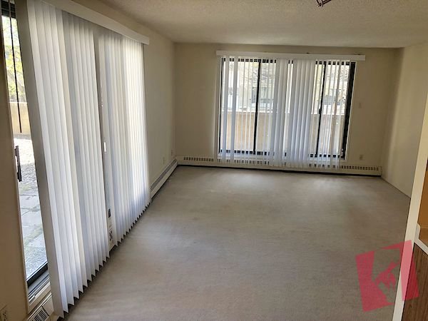 Spacious South Facing 1 bed Apartment - Amenities Galore!