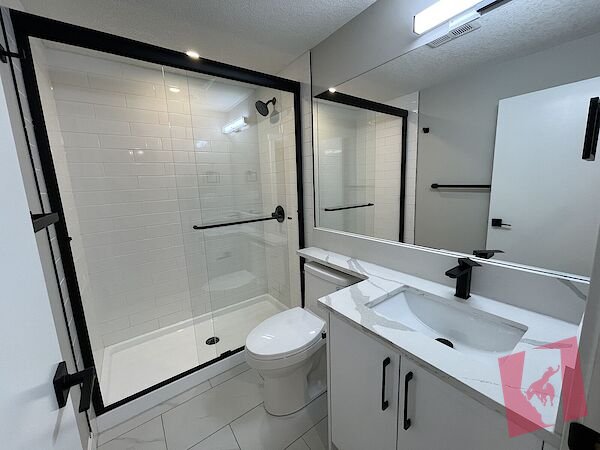 Newly Renovated Basement Unit with Separate Entrance and New Appliances!