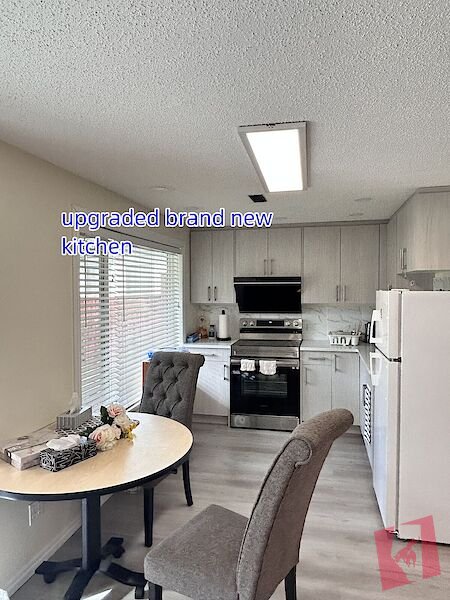 Bright Walkout Basement | Private Entry | Newly Upgraded| Quiet NW Calgary
