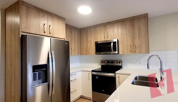 2 Bedrooms Luxury Walkout basement in Aspen Woods near 69st. Station