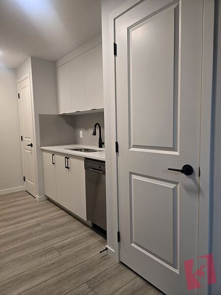Brand New Basement Suite in Belmont photo 2