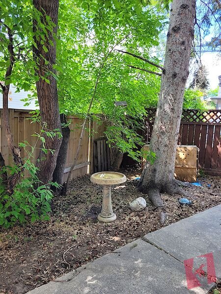 Cozy 2 Bedroom basement Unit in very convenient location. photo 3