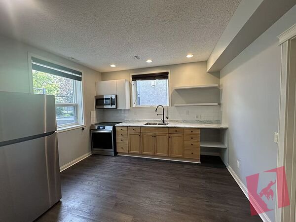 Spacious Bright Walk up Basement photo 2