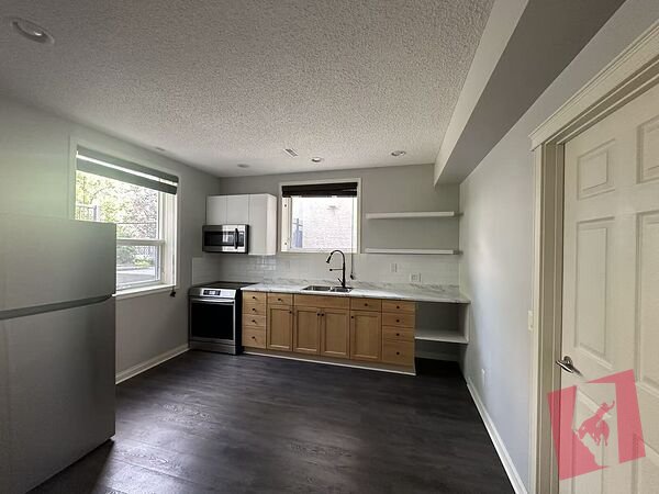 Spacious Bright Walk up Basement photo 3