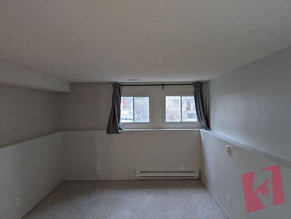 Bright and refreshed Two Bedroom Downstairs in Marda Loop