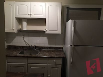 New Renovation Big Bright Walk out basment. Brand new carpet, fresh paint,