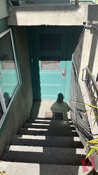 Cozy and Spacious Basement for Rent