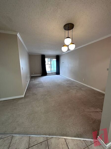 Spacious & Bright Condo photo 3